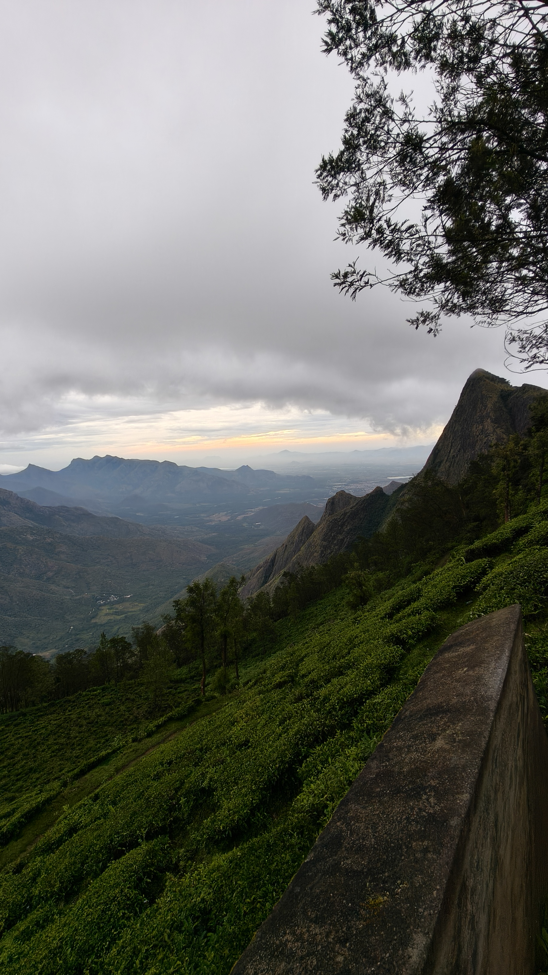 Kolukkumalai mountain viewpoint with tea plantations and cloudy evening sky